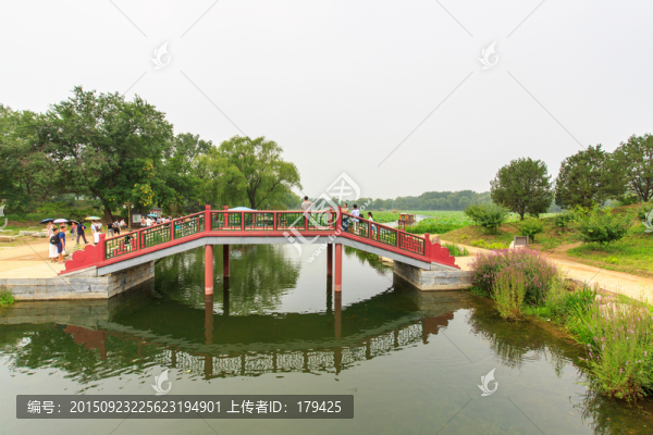 圓明園荷花拱橋