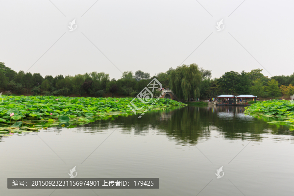 圓明園荷花拱橋