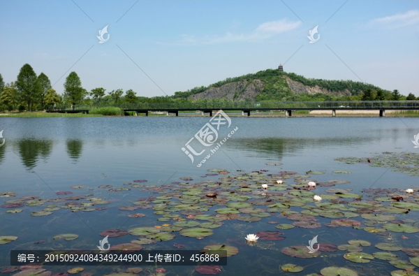 上海辰山植物園