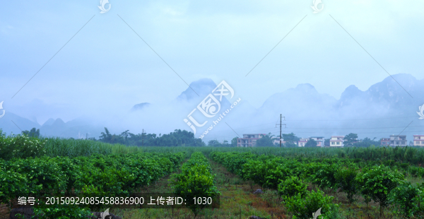 清新鄉(xiāng)村風(fēng)光
