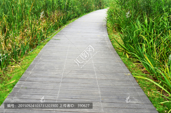 小路