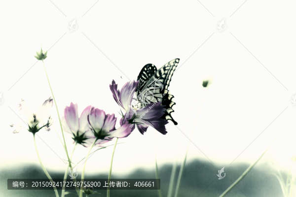 水墨風(fēng)蝴蝶