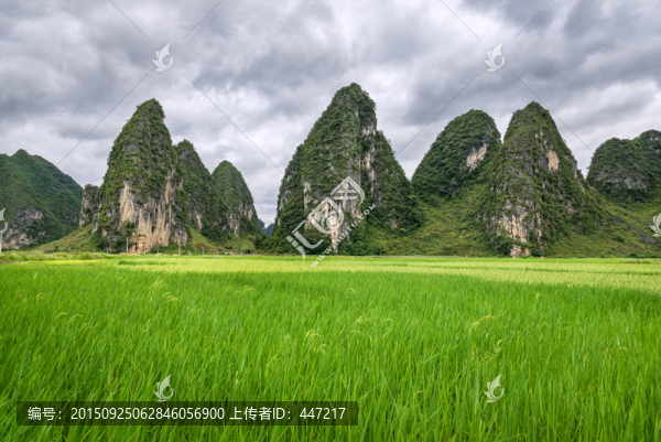 靖西舊州田園風(fēng)光