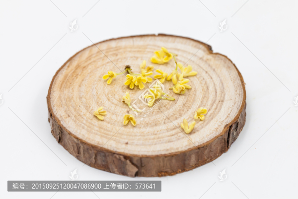 木塊上的桂花