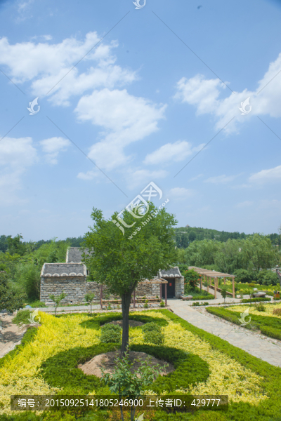 公園風(fēng)景,白云藍天,天空