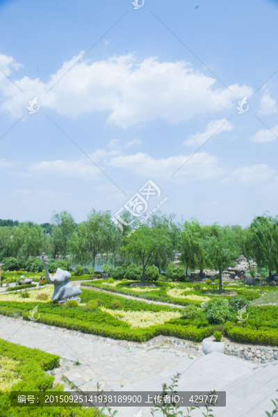 白云朵朵,天空