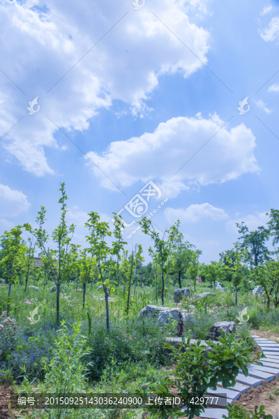 藍(lán)天白云,公園風(fēng)景
