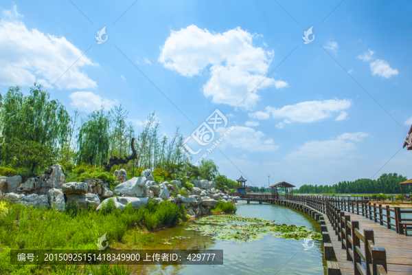 河岸風(fēng)景,景觀園林