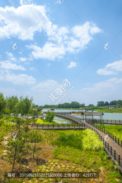 高清白云,公園風(fēng)景