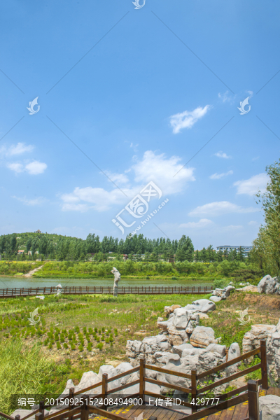 公園風(fēng)景,白云