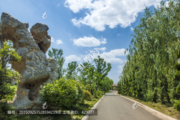 公園風(fēng)景,藍(lán)天白云