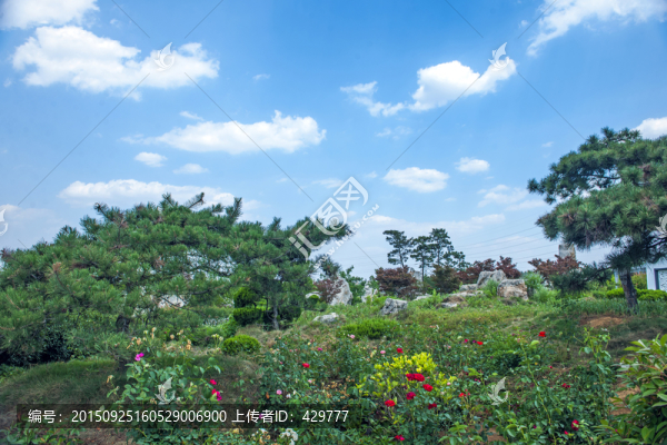 旅游區(qū)風(fēng)景,天空,白云藍(lán)天
