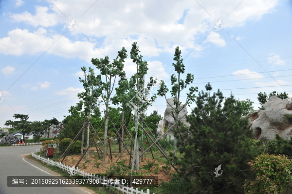 公園風景,藍天白云