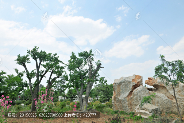公園風(fēng)景,石頭樂園