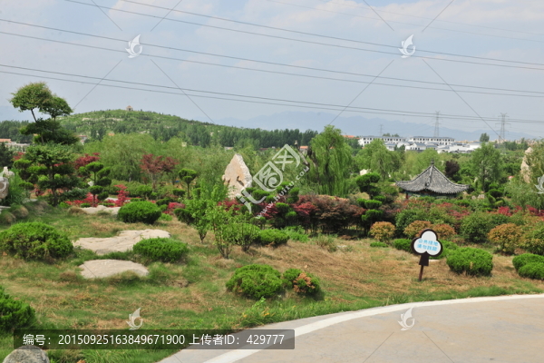 公園風(fēng)景