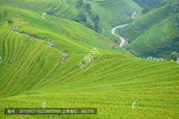 龍勝龍脊