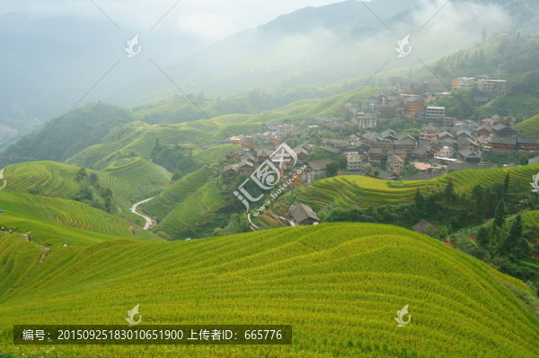 龍勝龍脊