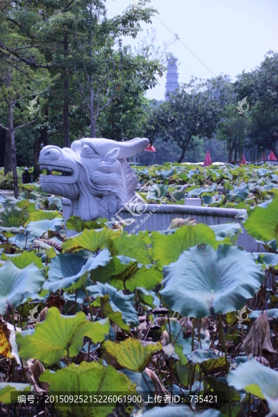龍頭雕塑