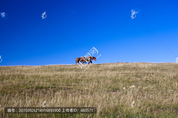 馬