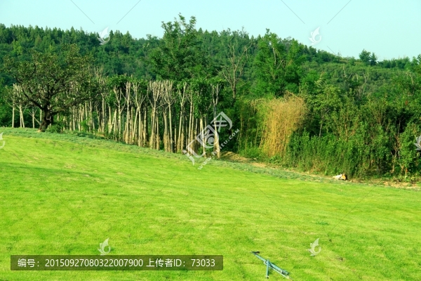 綠地