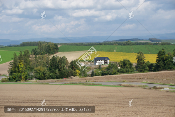 日本北海道美瑛