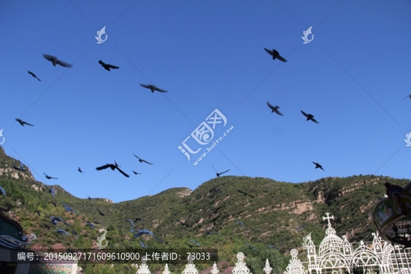 鴿群,群山