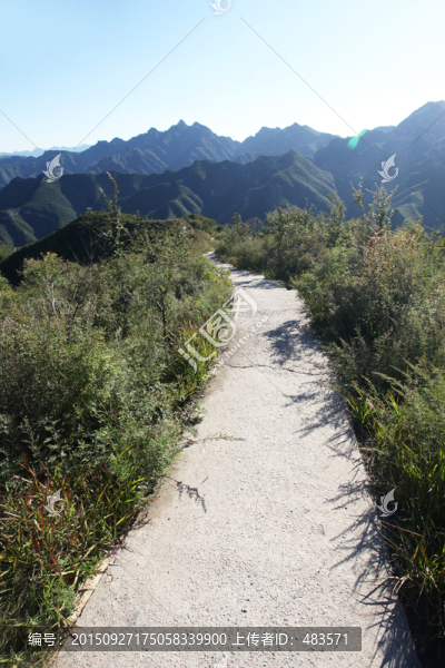 山