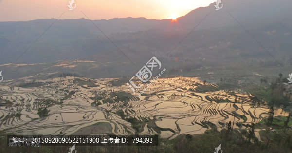 元陽梯田