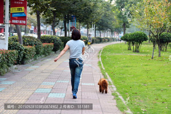 遛狗的女人
