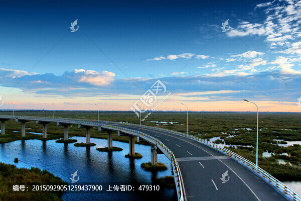 大慶,濕地,高架橋