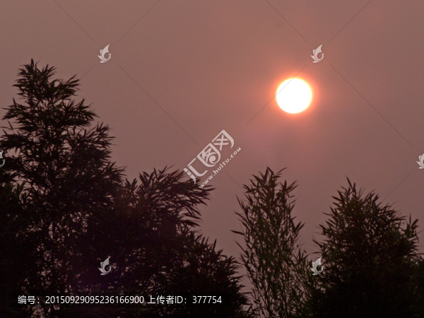 夕陽