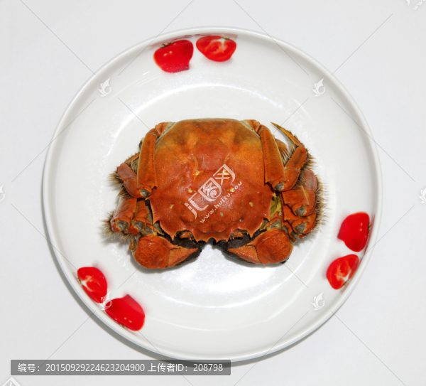 大閘蟹