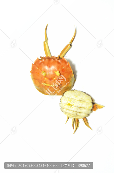 螃蟹,螃蟹創(chuàng)意圖,創(chuàng)意造型