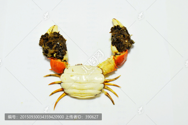 螃蟹創(chuàng)意造型,創(chuàng)意,螃蟹