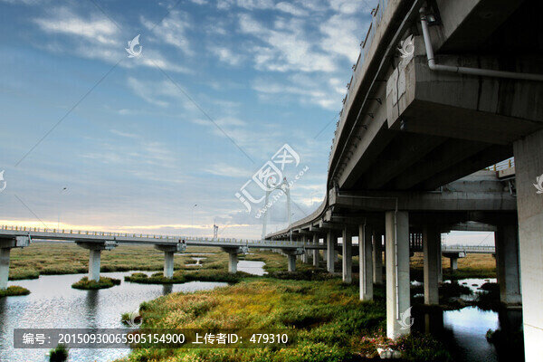 大慶,濕地,高架橋