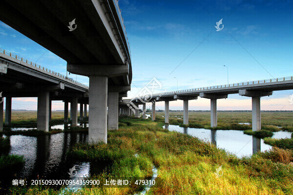大慶,濕地,高架橋