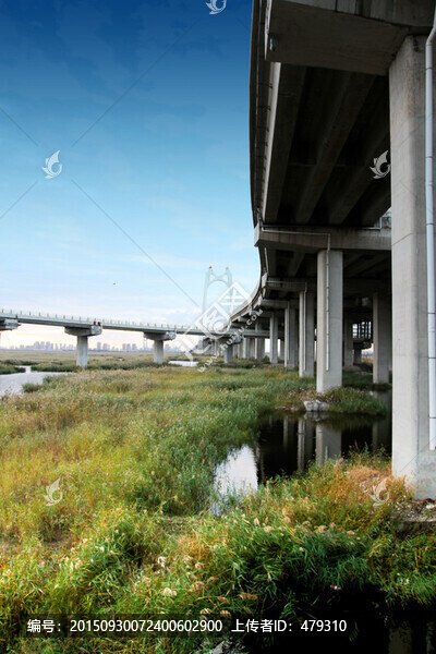 大慶,濕地,高架橋