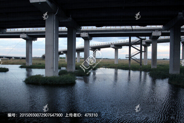 大慶,濕地,高架橋