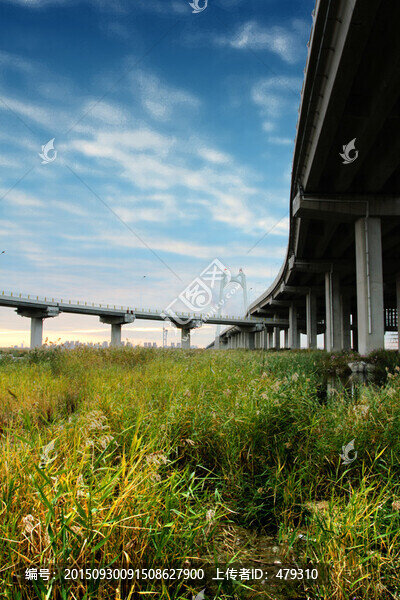 大慶,濕地,高架橋