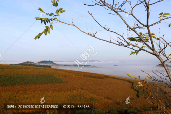 秋天景色