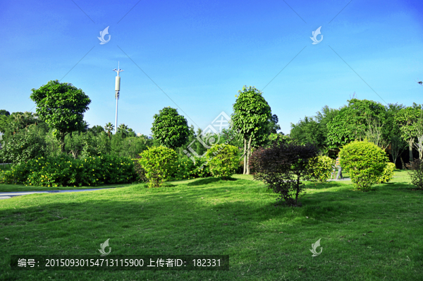 園林草地樹木