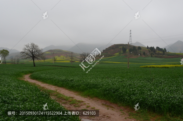 鄉(xiāng)村
