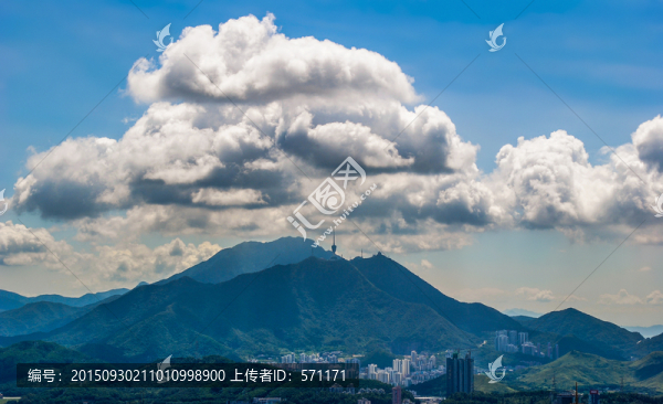 梧桐山云
