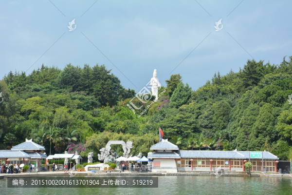 樹林,佛像,湖泊,植被,叢林