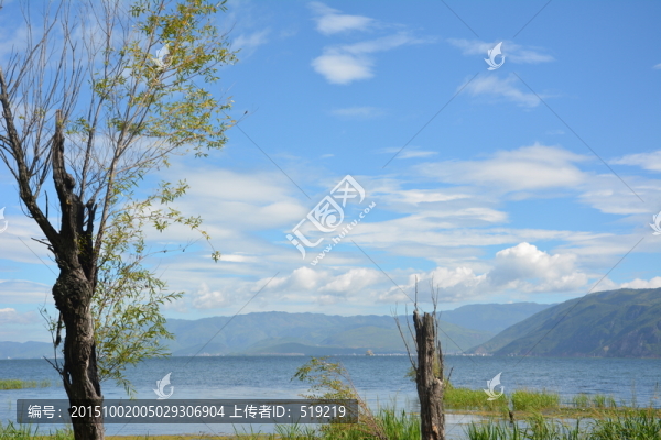 藍(lán)天白云,遠(yuǎn)山,樹木,湖泊
