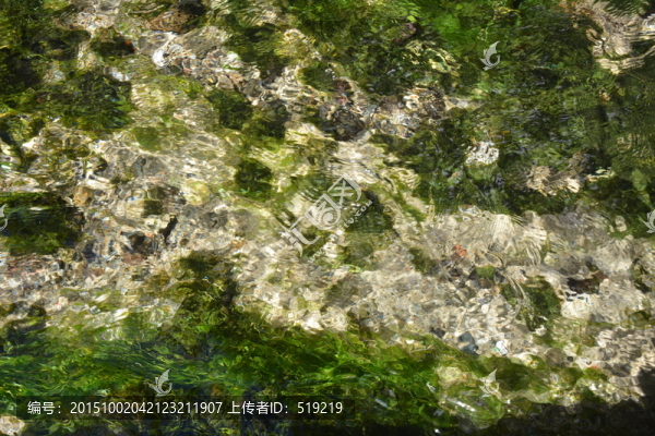 河流,清澈的河流,清澈見底