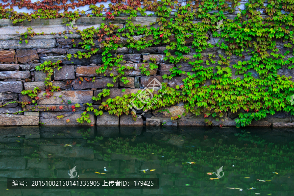 蘇州平江路流水石墻爬山虎