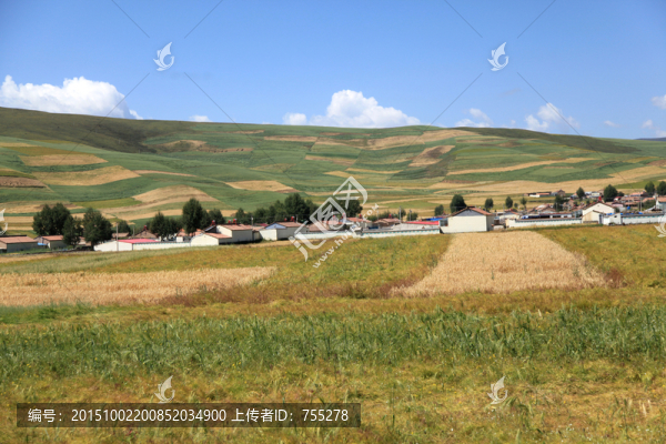 祁連山草原