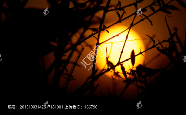 暮野