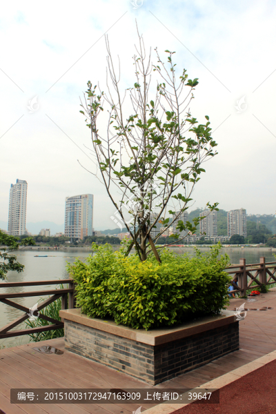 公園景觀設(shè)計(jì)